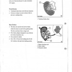 escort4x4page10