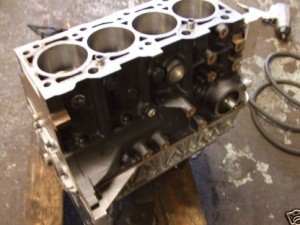 bottem2